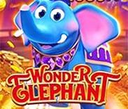 Wonder Elephant